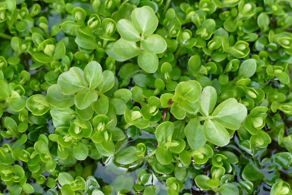 com.se com se csrd esg consulting